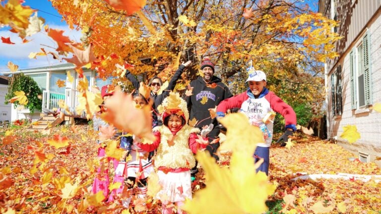 fall blog featured header discover stouffville things to do
