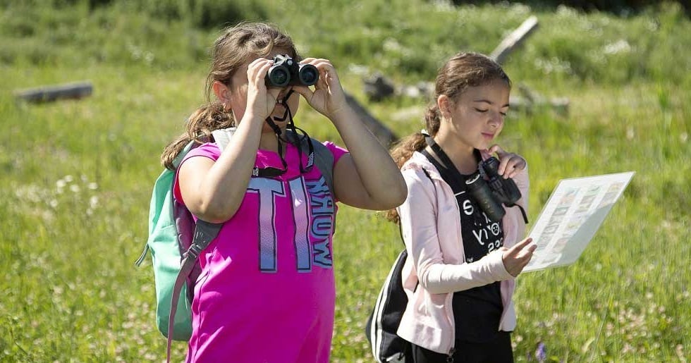 bruces mill stouffville family fun day
